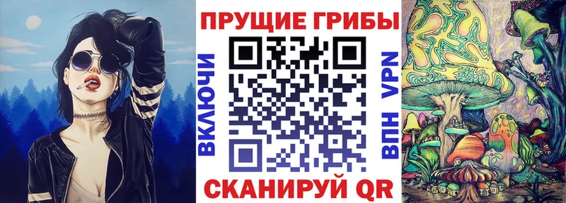 продажа наркотиков  Аркадак  Псилоцибиновые грибы прущие грибы 